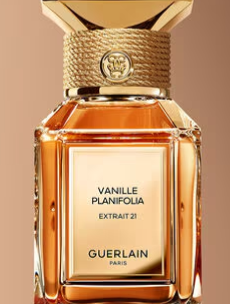 EDP Vanille Planifolia Extra